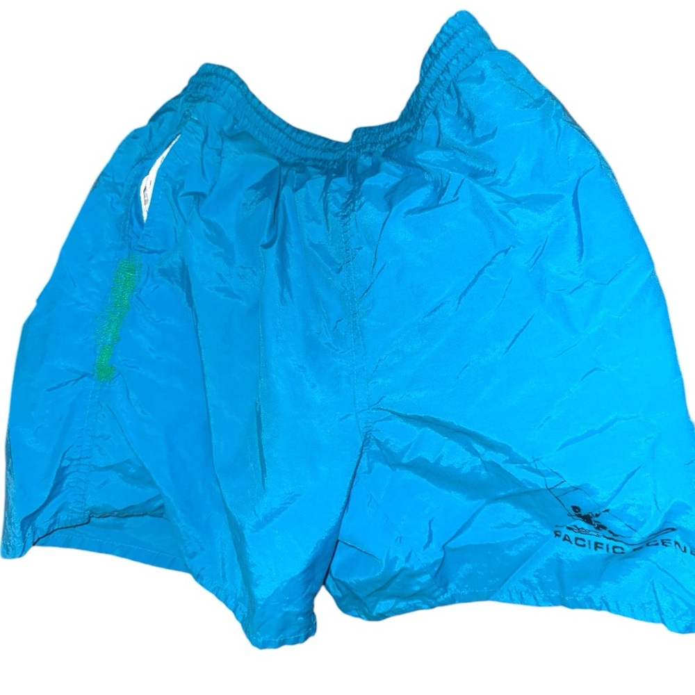 Pacific Scene Blue Swim Shorts